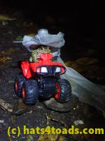 /home//u458753944/public_html/sourcegallery///////////McKaig Nature Center/2020-10-11/PA110741.JPG